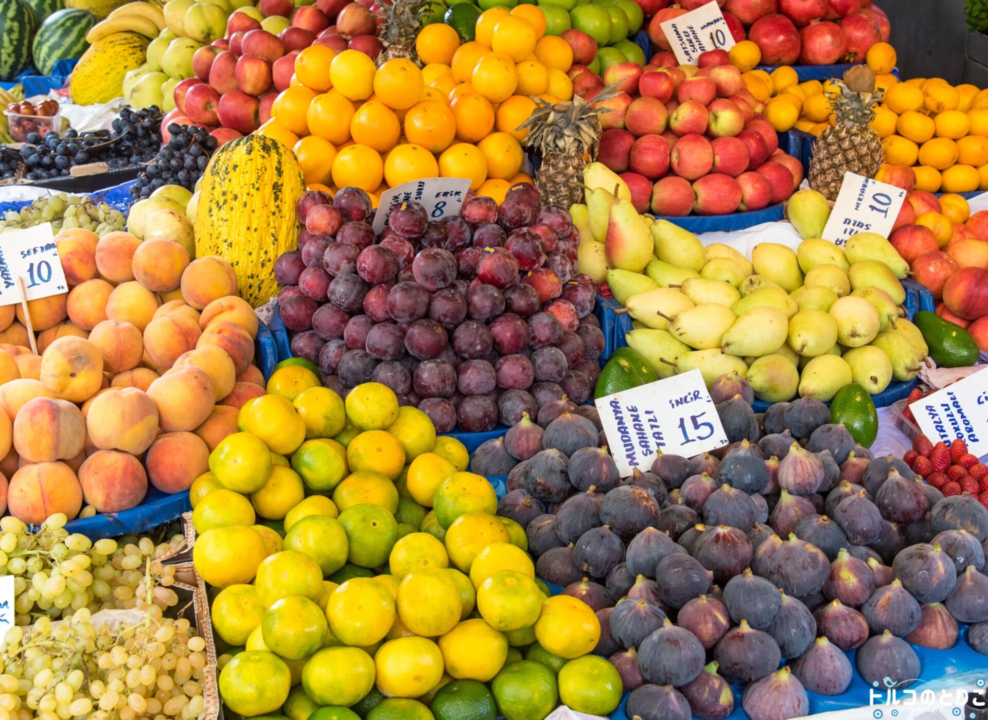 インフレに伴う運賃・入場料高騰について - トルコのとりこ | トルコ専門WEBサイト